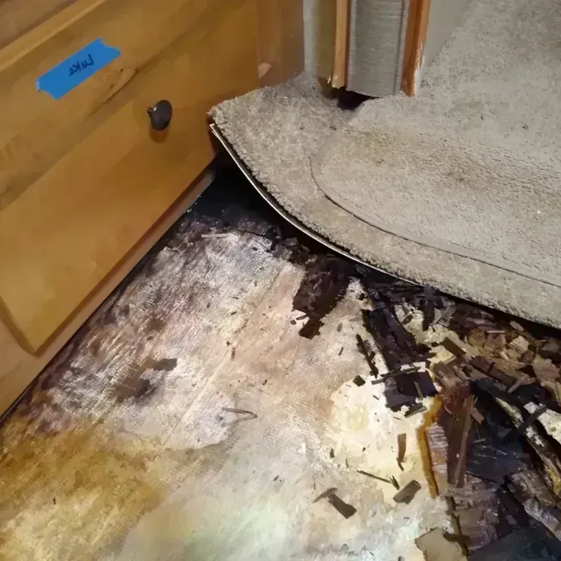 Best Wood Floor Water Damage Service in Weyauwega, WI